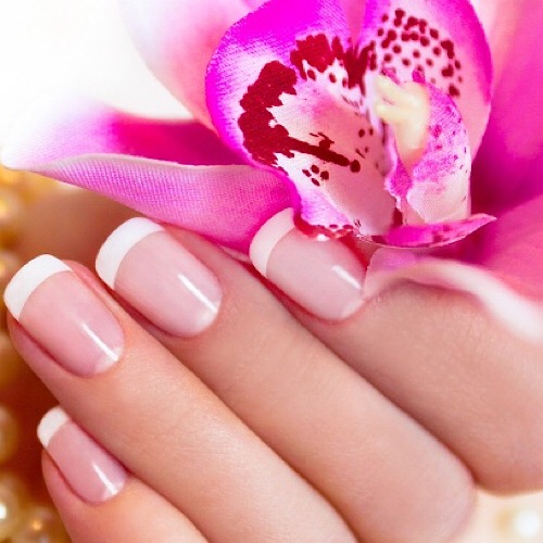 HOLLYWOOD SPA & NAILS - manicures service